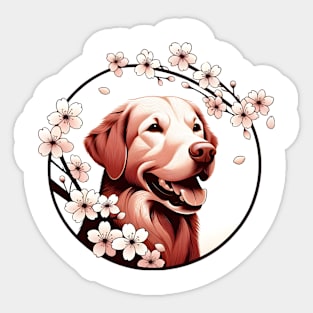 Chesapeake Bay Retriever Welcomes Spring with Cherry Blossoms Sticker